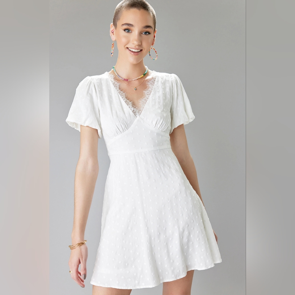 NWT Francesca's Amalia Embroidered Mini Dress